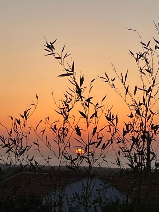 Cabana Mar E Serra Σεσίμπρα Εξωτερικό φωτογραφία